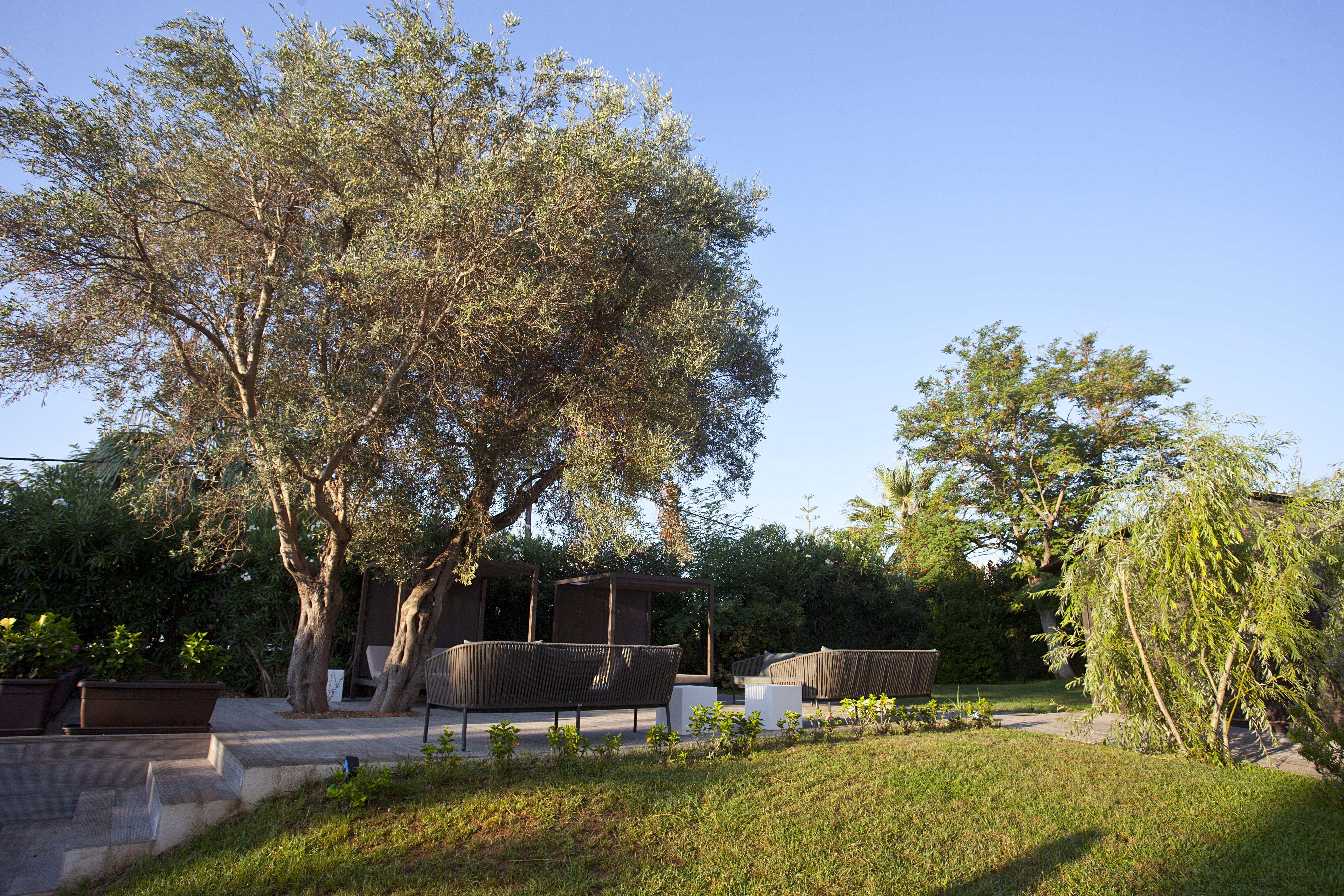 Hotel Bahia Pollensa Port de Pollenca Εξωτερικό φωτογραφία